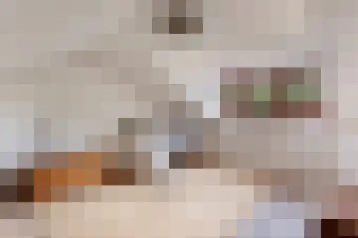 Salviahof 17 Schijndel thumbnail 17