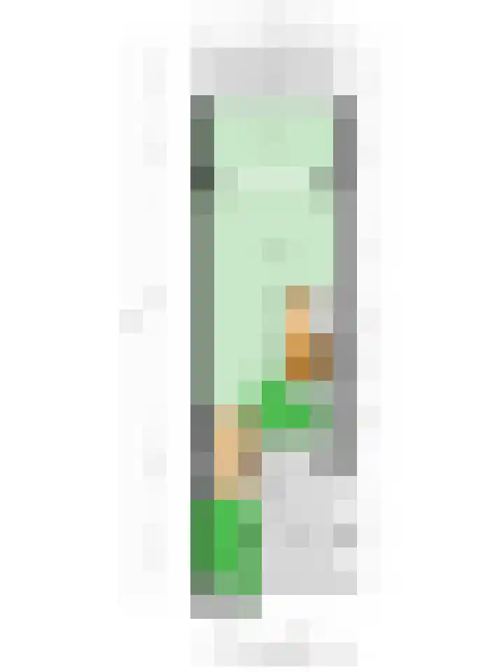 Salviahof 17 Schijndel thumbnail 24