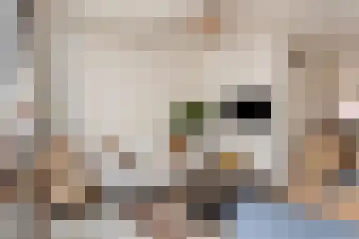 Salviahof 17 Schijndel thumbnail 5