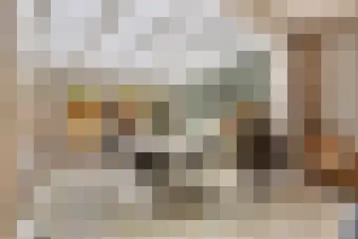 Salviahof 17 Schijndel thumbnail 6