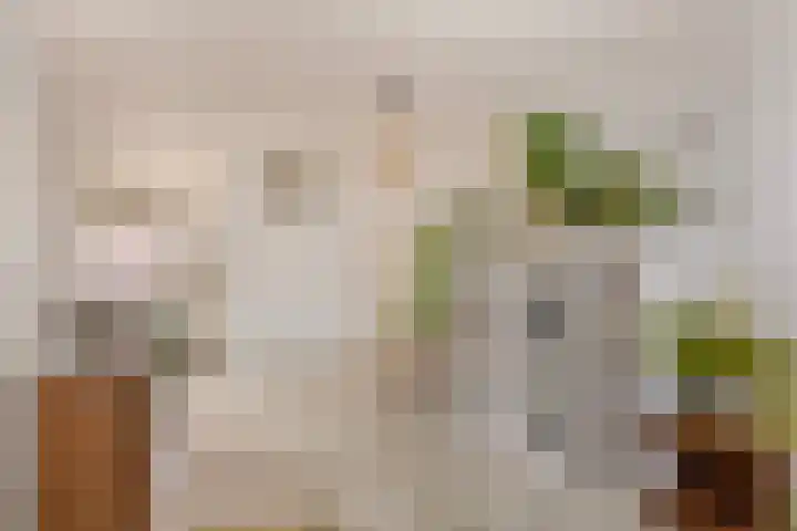 Salviahof 17 Schijndel thumbnail 8