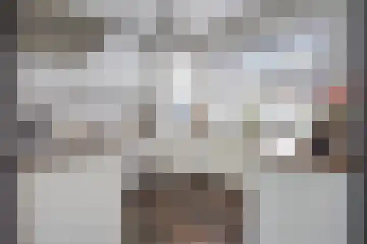 Salviahof 27 Schijndel thumbnail 13