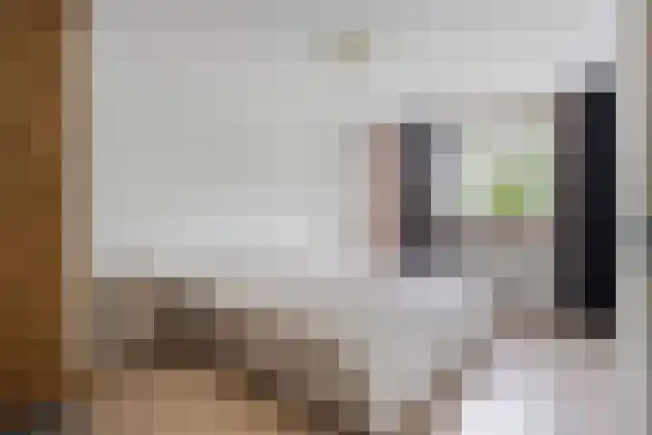 Salviahof 27 Schijndel thumbnail 15