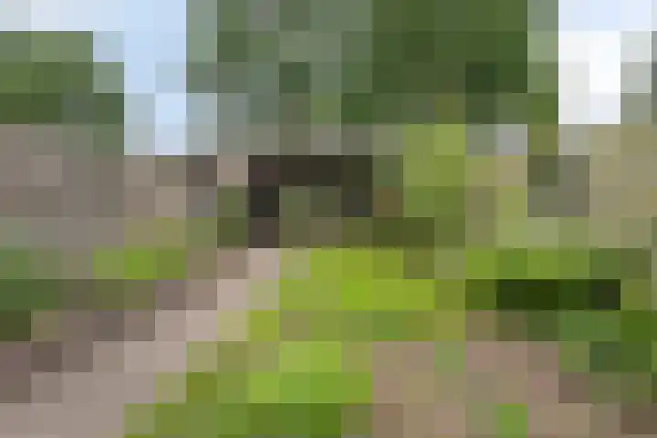 Salviahof 27 Schijndel thumbnail 27