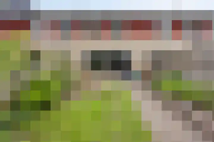 Salviahof 27 Schijndel thumbnail 28
