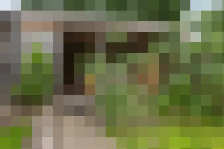 Salviahof 27 Schijndel thumbnail 29