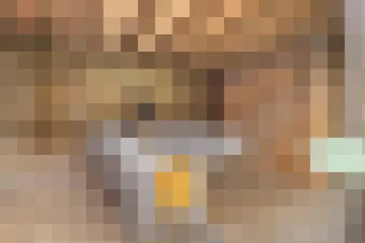 Salviahof 27 Schijndel thumbnail 30