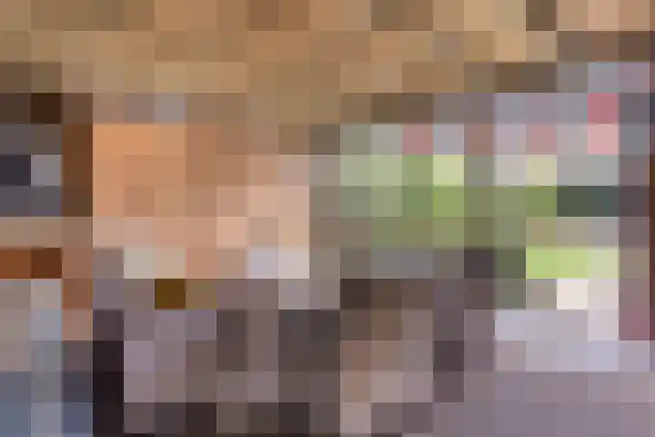 Salviahof 27 Schijndel thumbnail 31