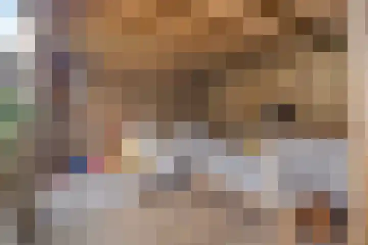 Salviahof 27 Schijndel thumbnail 32