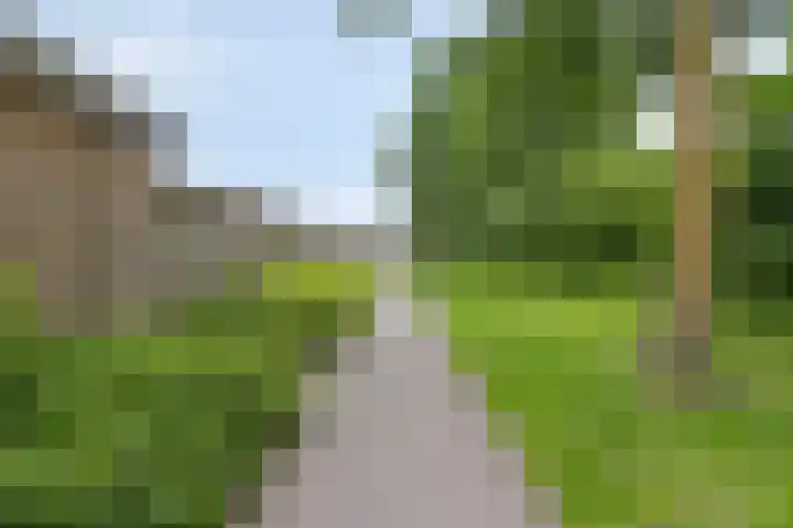 Salviahof 27 Schijndel thumbnail 34