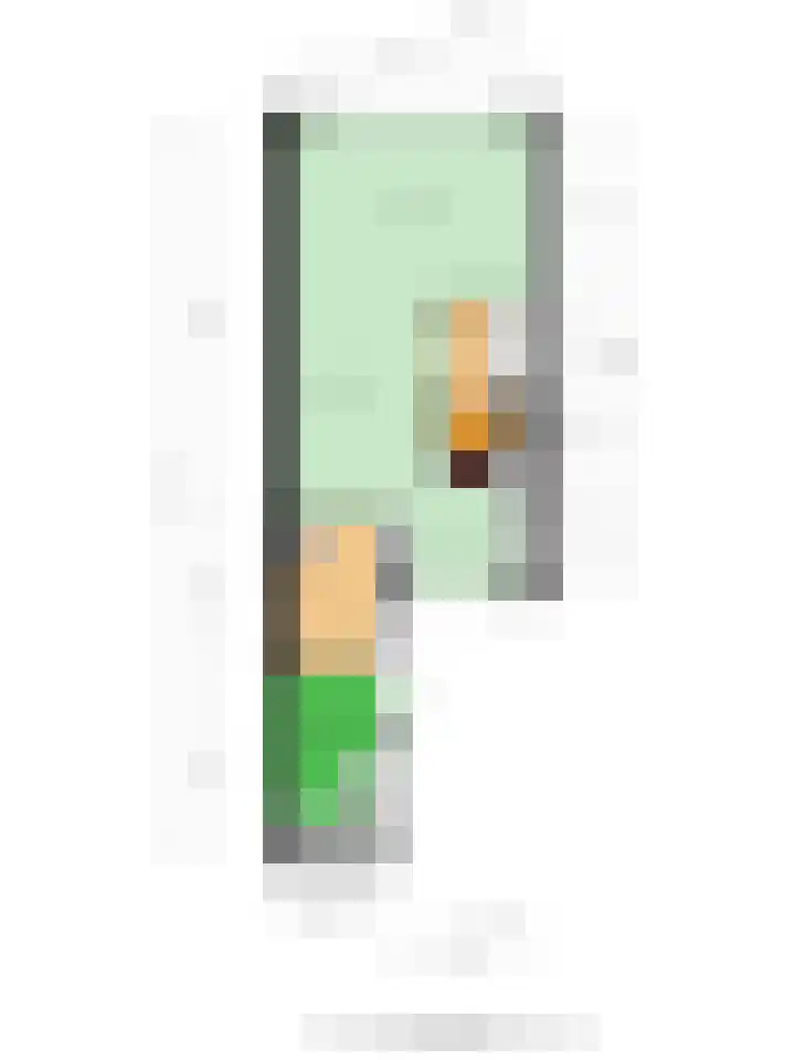 Salviahof 27 Schijndel thumbnail 38