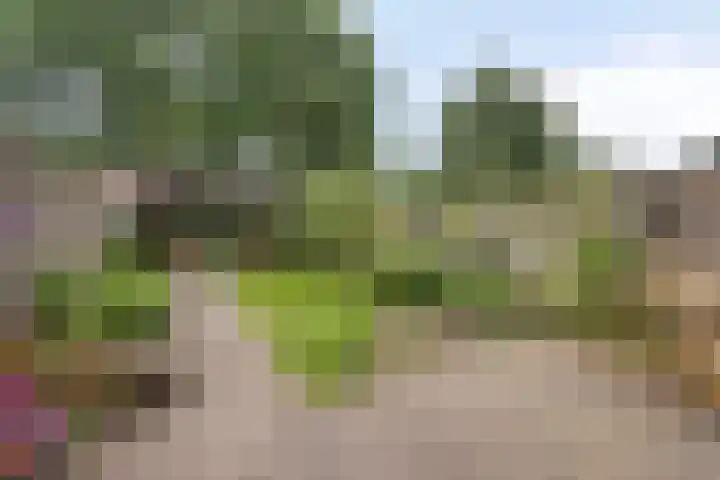 Salviahof 27 Schijndel thumbnail 4