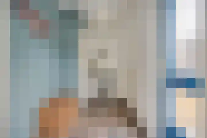 Salviahof 27 Schijndel thumbnail 6