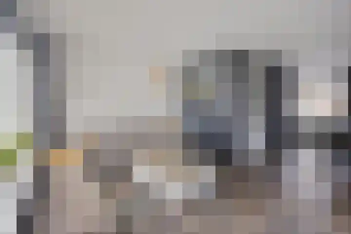 Salviahof 27 Schijndel thumbnail 7