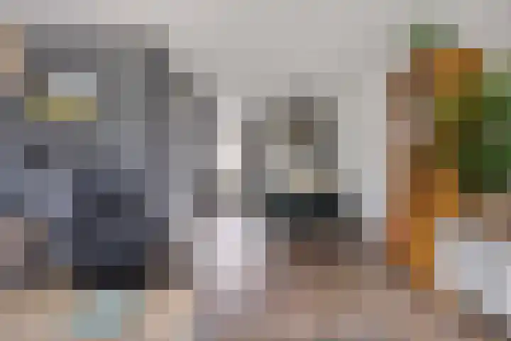 Salviahof 27 Schijndel thumbnail 8