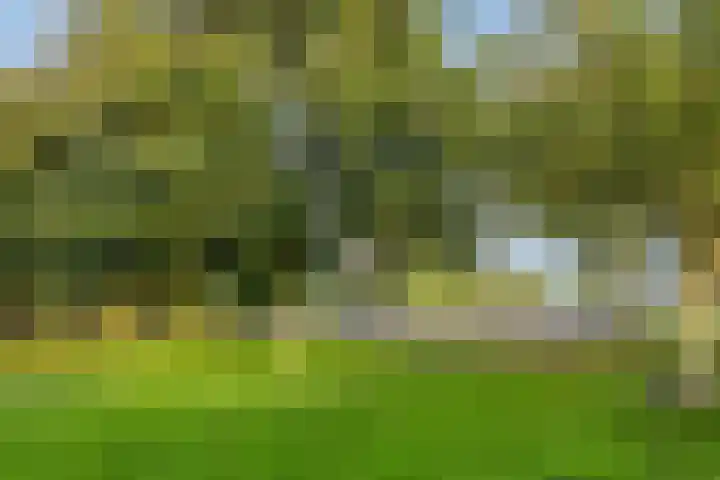 Salviahof 34 Noordwijk thumbnail 25