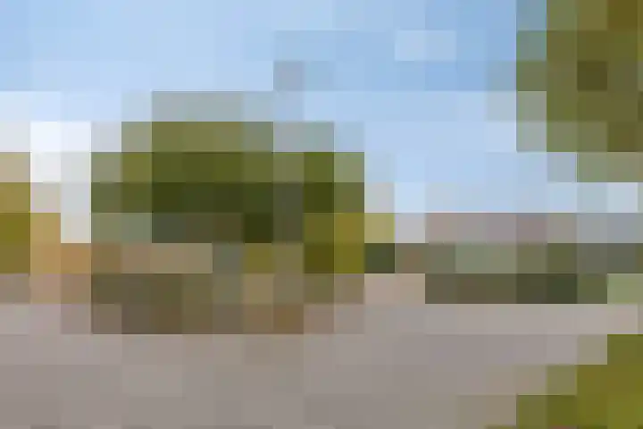 Salviahof 34 Noordwijk thumbnail 27