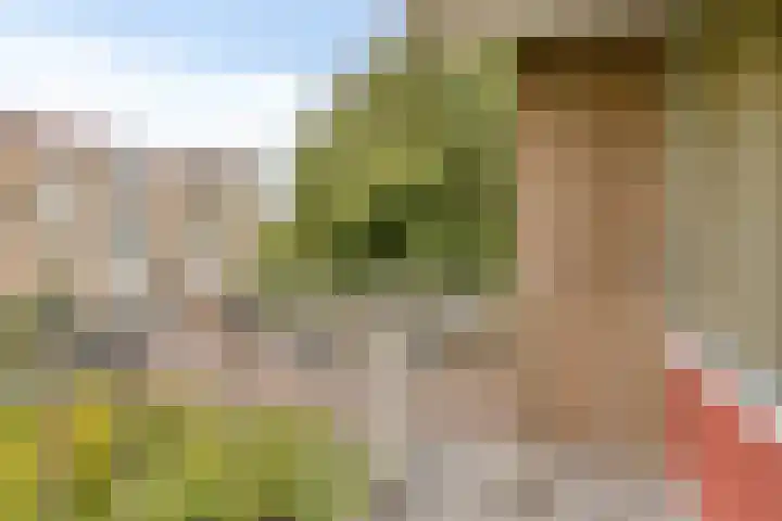 Salviahof 34 Noordwijk thumbnail 9