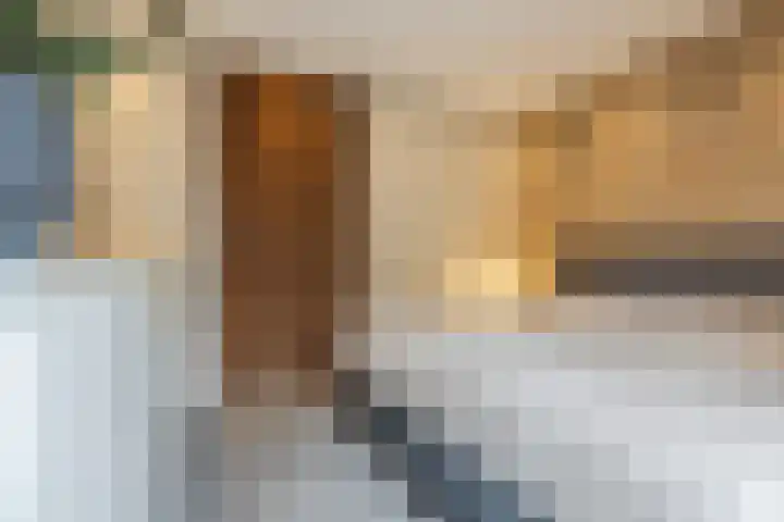 Salviahof 41 Noordwijk thumbnail 27