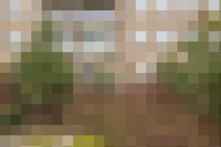 Salviahof 41 Noordwijk thumbnail 32