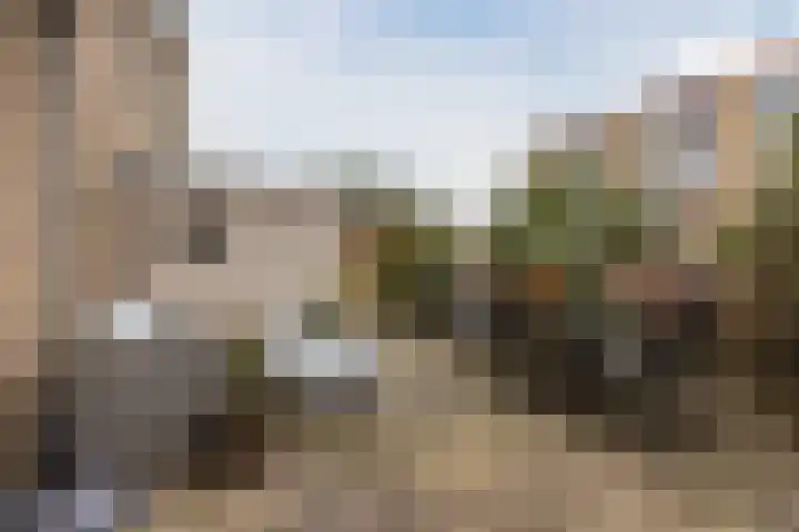 Salviahof 41 Noordwijk thumbnail 4