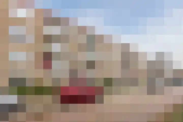 Salviahof 41 Noordwijk thumbnail 5