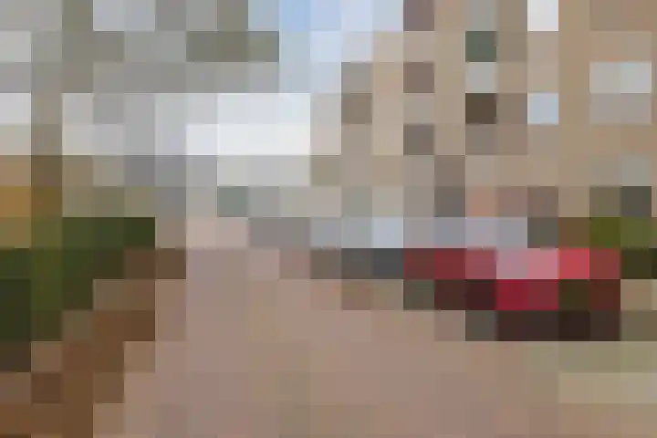 Salviahof 41 Noordwijk thumbnail 6