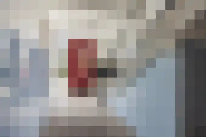 Salviahof 41 Noordwijk thumbnail 8