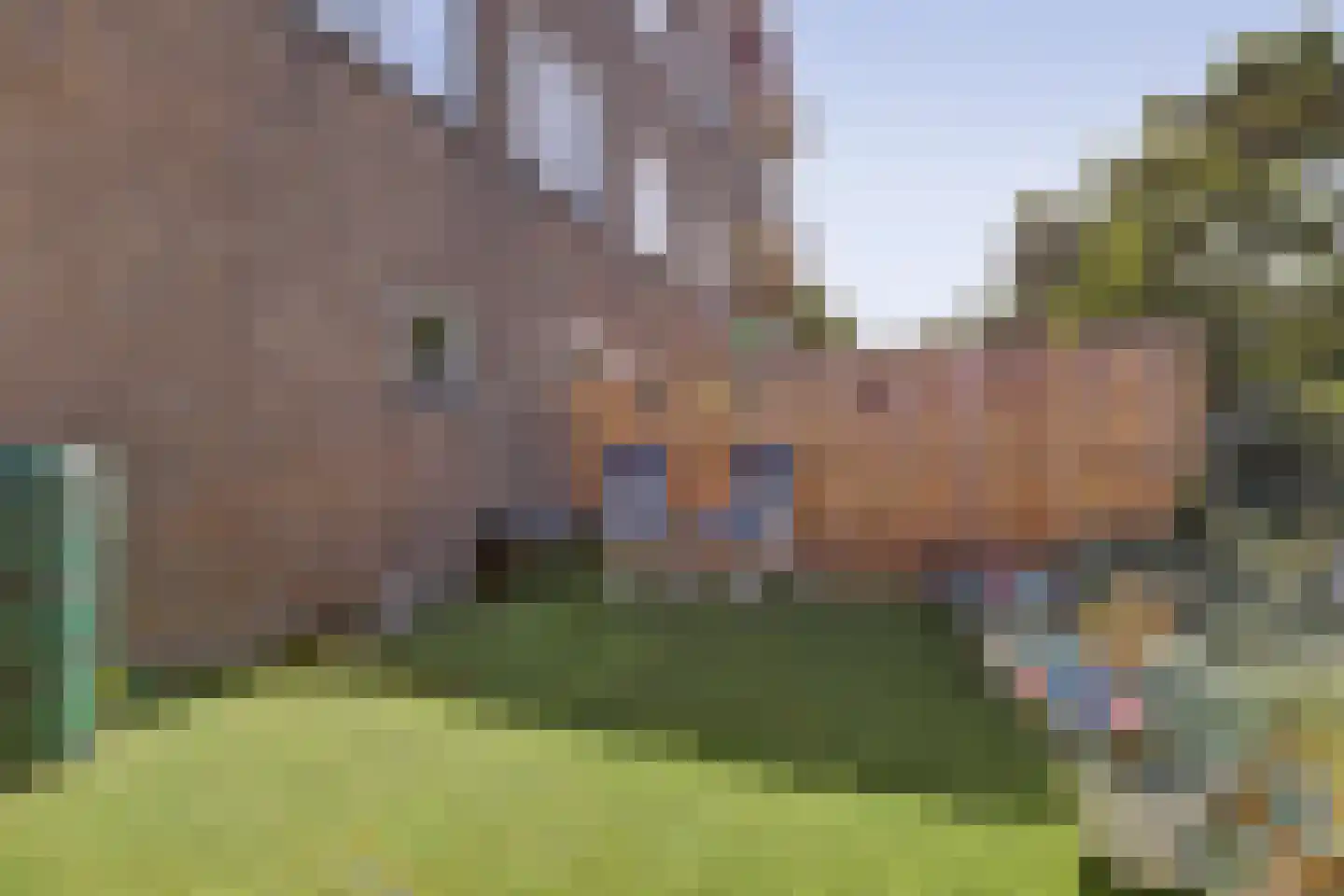 Salviahof 57 Noordwijk thumbnail 32