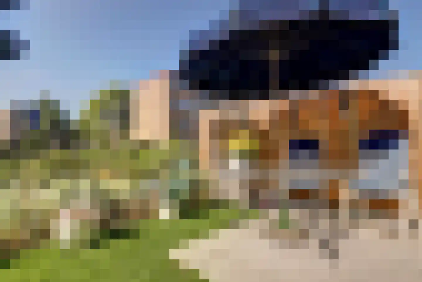 Salviahof 57 Noordwijk thumbnail 34
