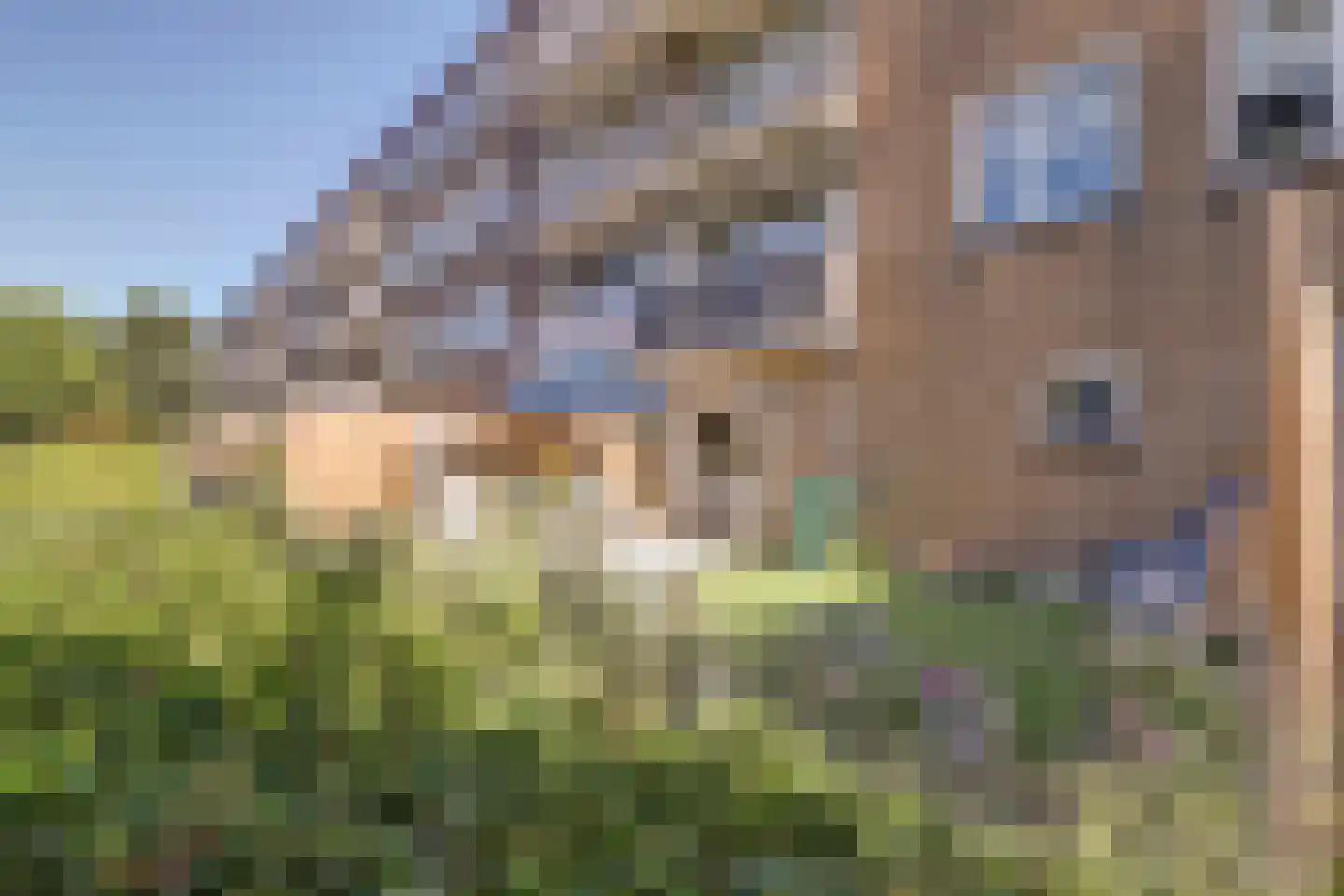 Salviahof 57 Noordwijk thumbnail 37
