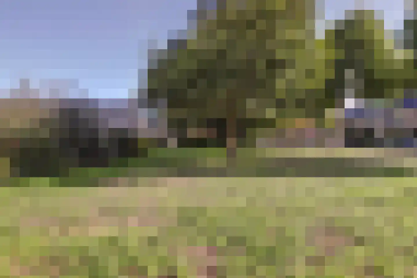 Salviahof 57 Noordwijk thumbnail 6
