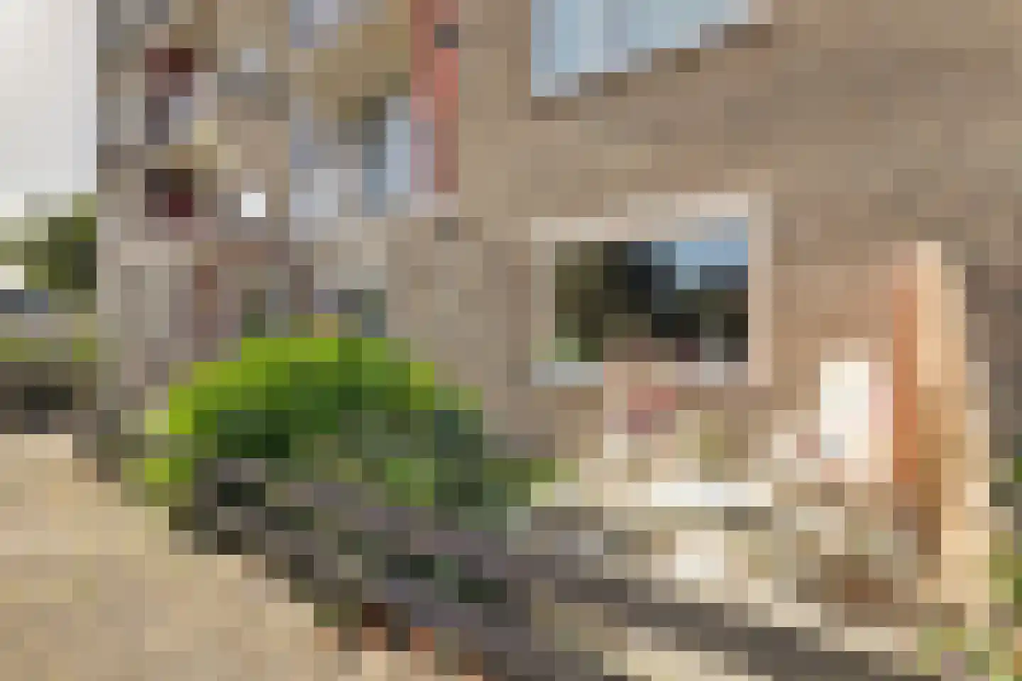 Salviahof 57 Noordwijk thumbnail 8