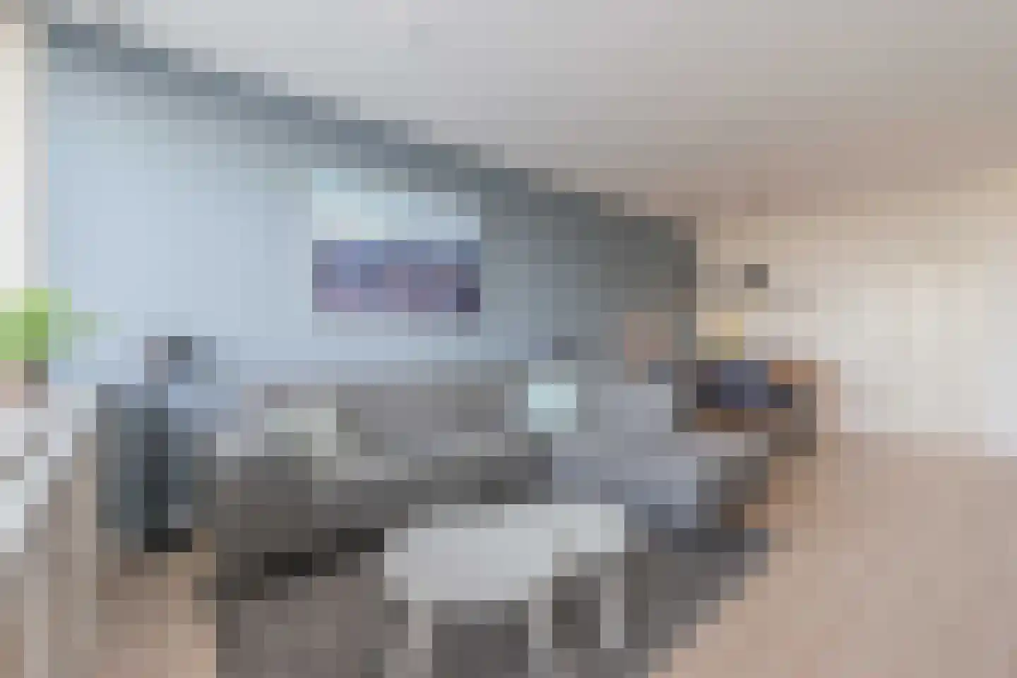 Salviahof 60 Noordwijk thumbnail 14