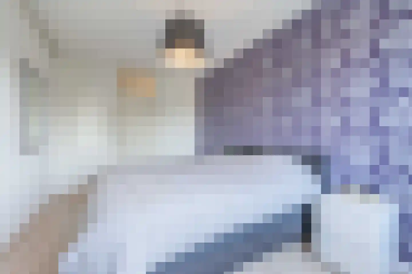 Salviahof 60 Noordwijk thumbnail 28