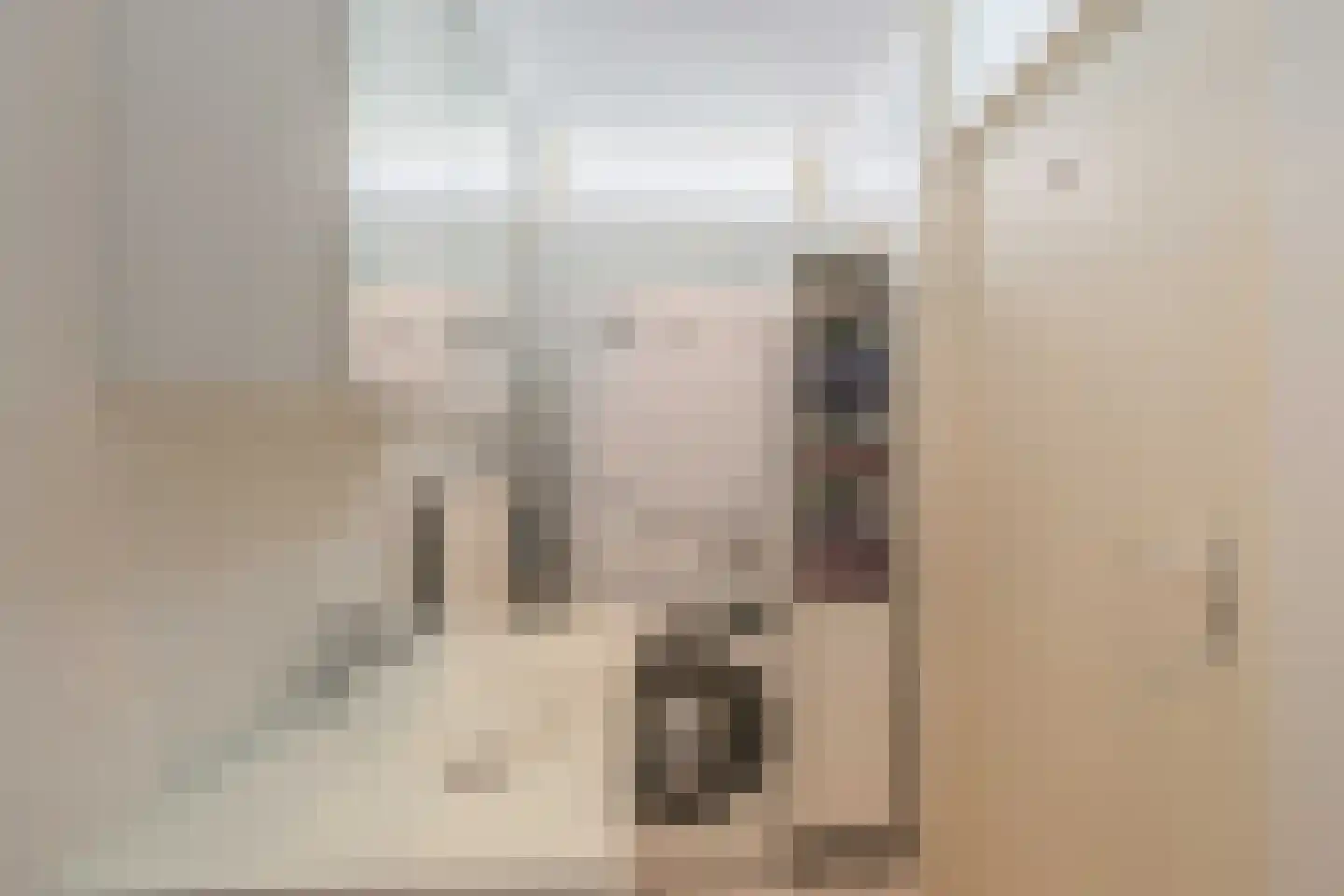 Salviahof 60 Noordwijk thumbnail 30