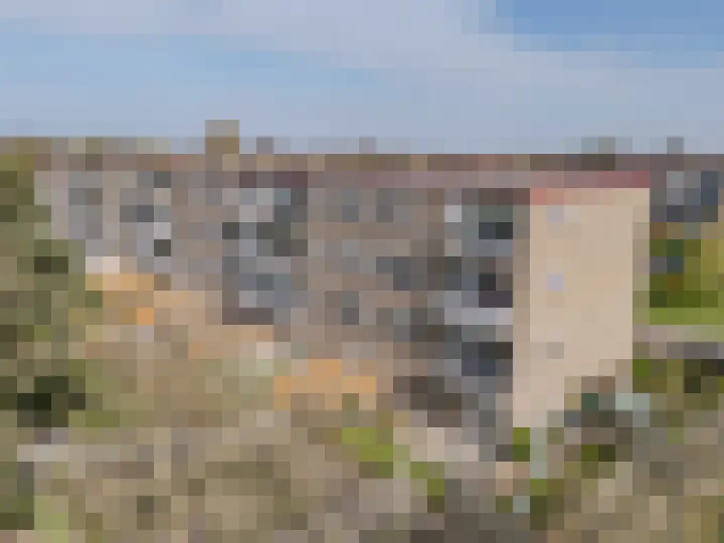 Salviahof 60 Noordwijk thumbnail 34