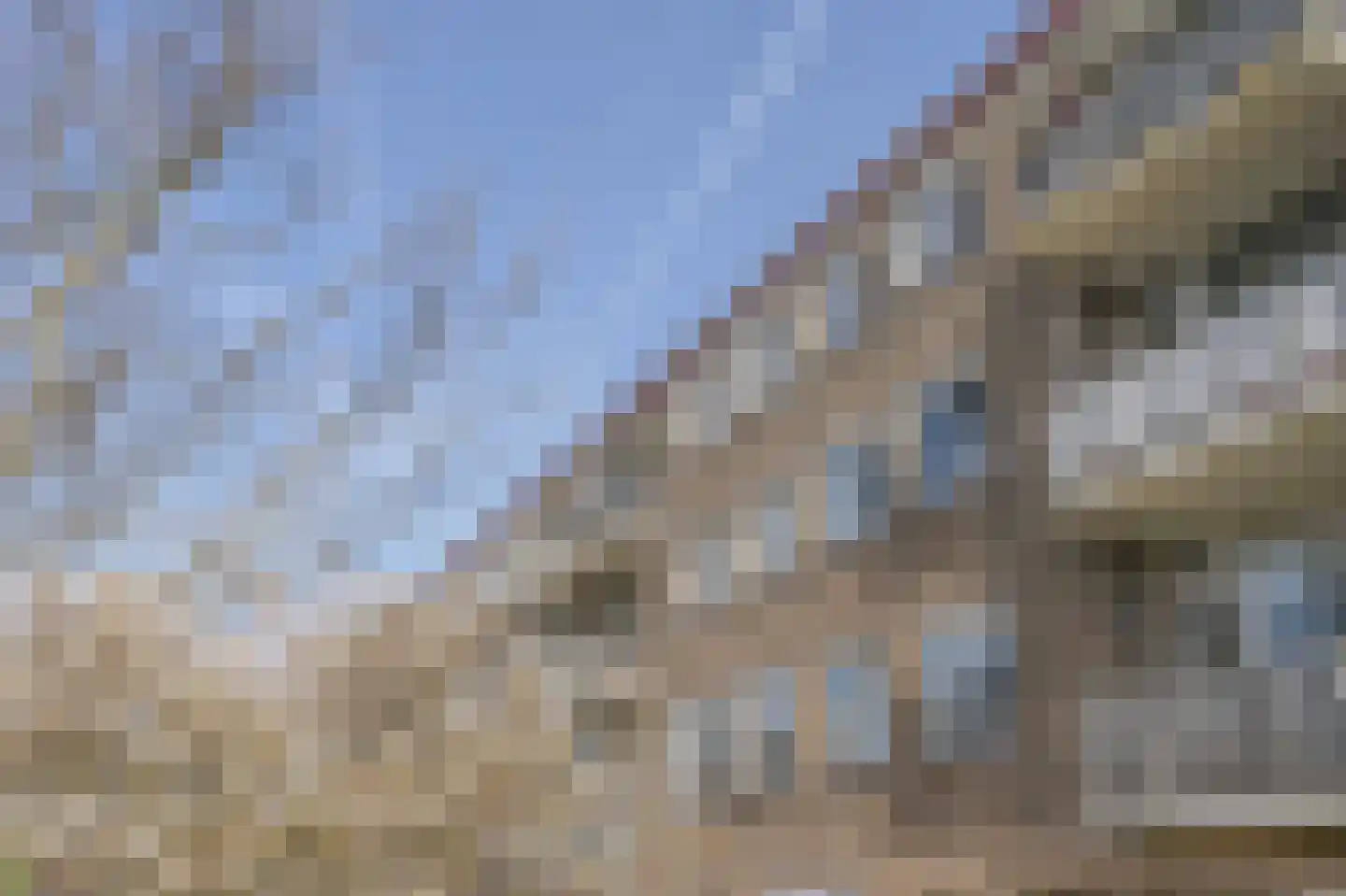 Salviahof 60 Noordwijk thumbnail 35