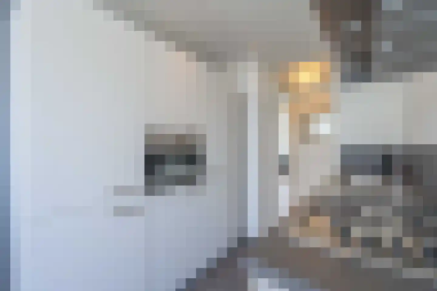Salviahof 60 Noordwijk thumbnail 8