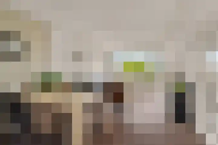 Salviahof 61 Noordwijk thumbnail 5