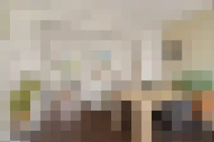Salviahof 61 Noordwijk thumbnail 6
