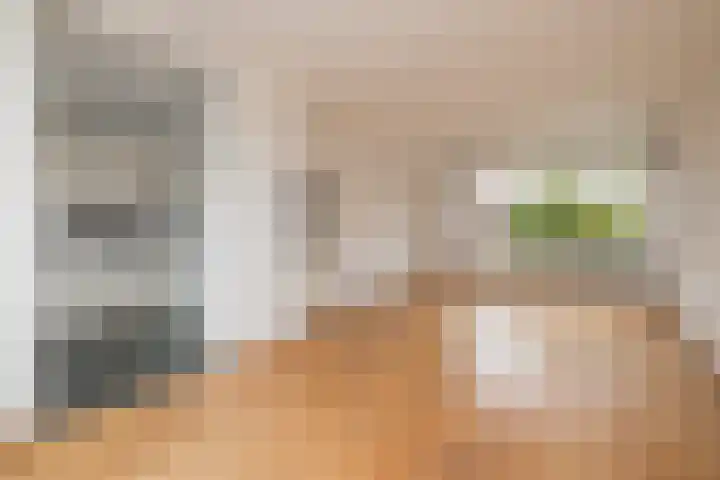 Salvialaan 15 Oegstgeest thumbnail 12