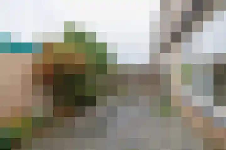 Salvialaan 15 Oegstgeest thumbnail 20