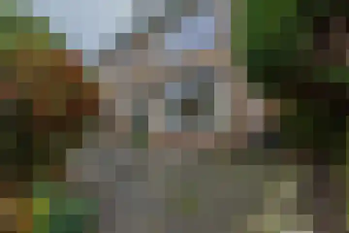Salvialaan 15 Oegstgeest thumbnail 21