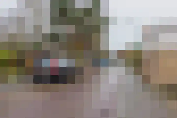 Salvialaan 15 Oegstgeest thumbnail 24