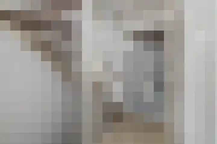 Salvialaan 15 Oegstgeest thumbnail 26