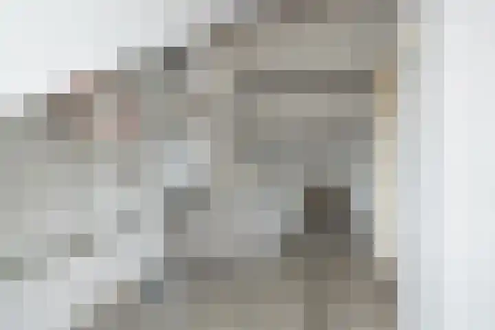 Salvialaan 15 Oegstgeest thumbnail 39