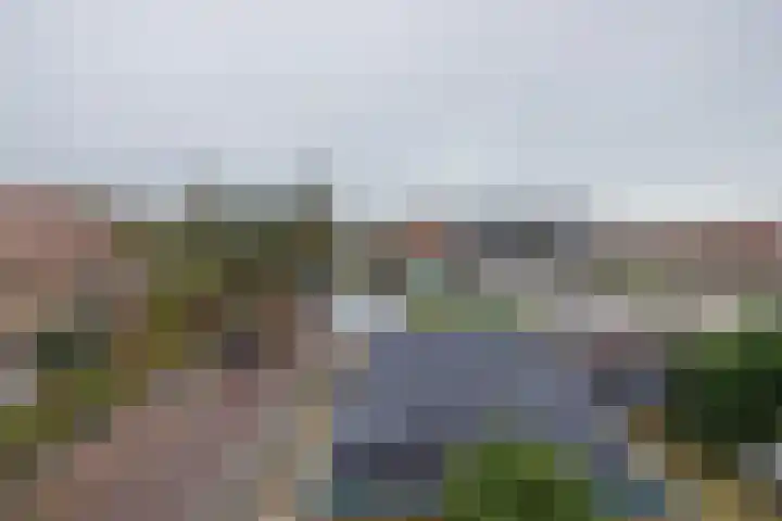 Salvialaan 15 Oegstgeest thumbnail 45