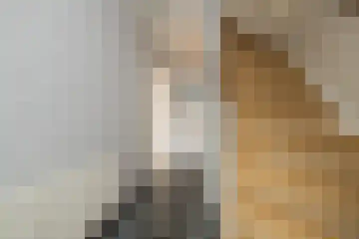 Salvialaan 15 Oegstgeest thumbnail 7
