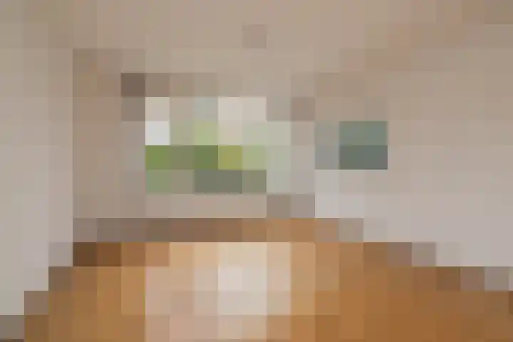Salvialaan 15 Oegstgeest thumbnail 8